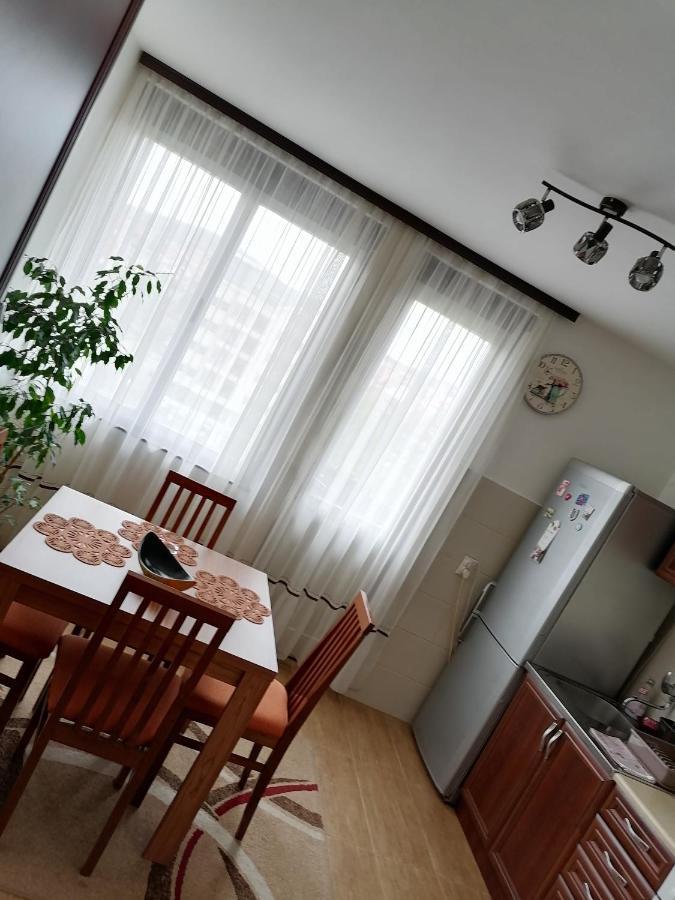 Apartman LENA Arandjelovac Dış mekan fotoğraf