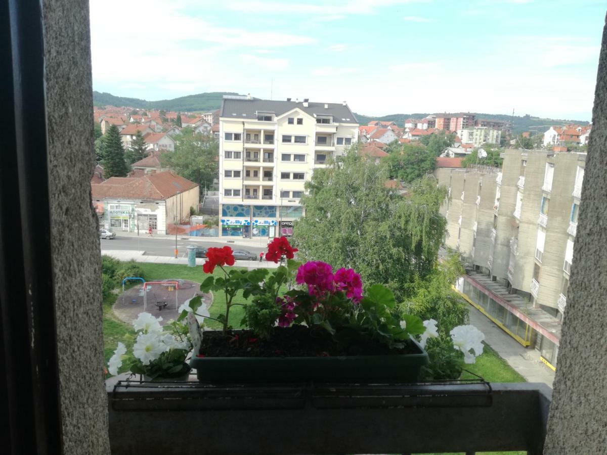 Apartman LENA Arandjelovac Dış mekan fotoğraf